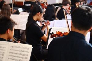 Picture taken from behind of a girl playing violin dressed in black