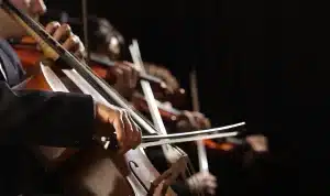 Close up image of cellos being played with a black background